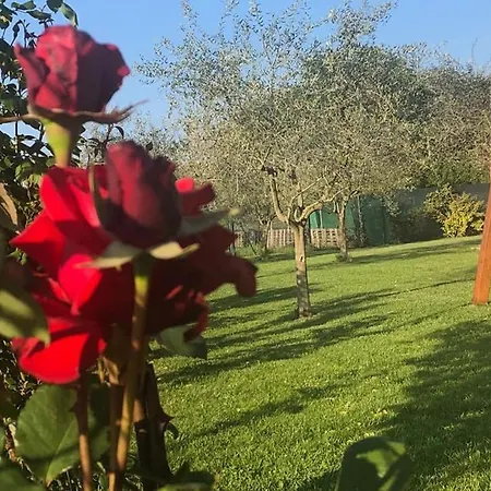 Appartamento Il Poggetto Corinaldo