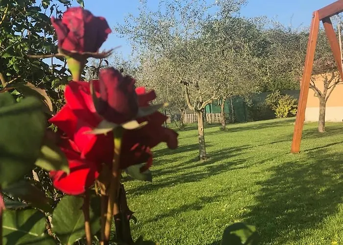 Appartamento Il Poggetto Corinaldo